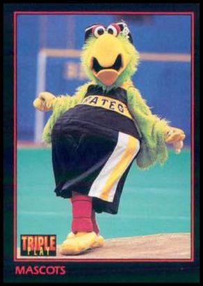 164 Mascots Pirate Parrot
